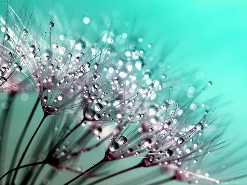corso online meditazione corso online meditazione